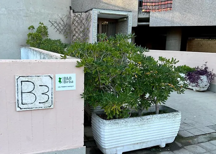 B&B Birba